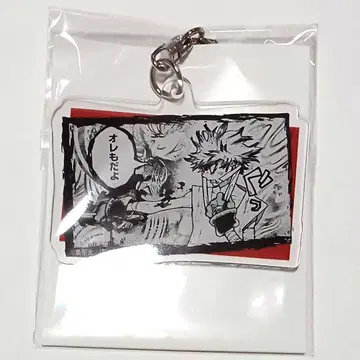 TSUTAYA 한정 가치액터 아크릴 키링 루드 원화