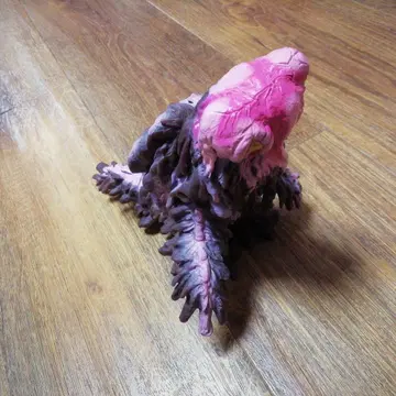 헤도라 2006 스트로베리 초콜릿 2024