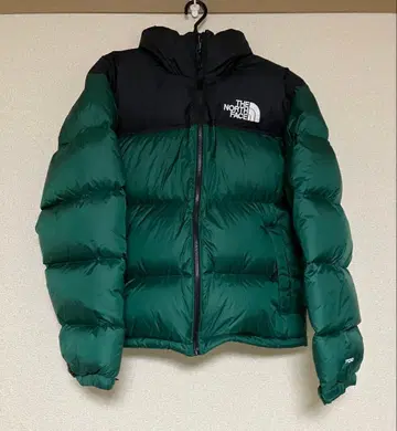 THE NORTH FACE 1996 레트로 눕시 다운 자켓