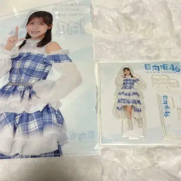 히나타자카 복권 모리모토 말리 클리어 파일 아크릴 스탠드