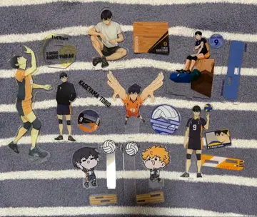 하이큐 카게야마 토비오 히나타 쇼요 아크릴 스탠드