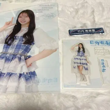 히나타자카 복권 타케우치 키라리 아크릴 스탠드 클리어 파일 케이블 클립