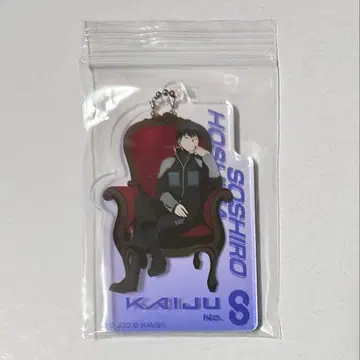 괴수 8호 플라자 로프트 아크릴 키링 아크키링 호시나