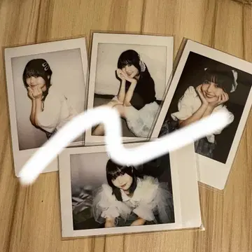 돈치키 사키나 키요 사키나 란체키 키요류진 25 묶음 판매