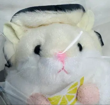 지역 햄스터 굴 봉제 인형