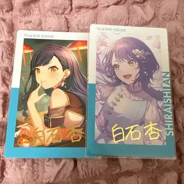 프로세카 시로이시 안 16B 18C 금박 2종 세트