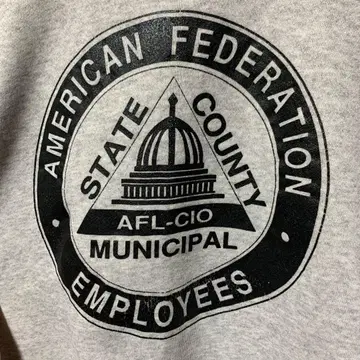 레어 헤인즈 Hanes Premium Weight OVY