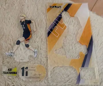 하이큐 아크릴 스탠드 츠키시마 케이