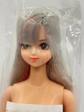 사야카 리카짱 캐슬 오타노시미 인형 미색 계열 제니 프렌드