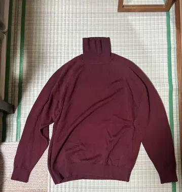 바토너 에이징 울 터틀