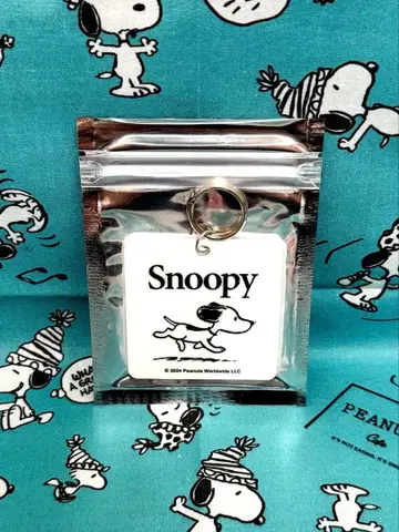 스누피 빈티지 키링