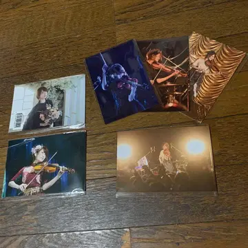 Ayasa 포토 카드 총 19장