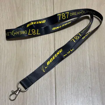 보잉 B787 드림라이너 넥스트랩