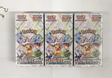 테라 페스티벌 ex 3box