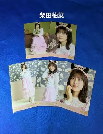 노기자카46 시바타 유나 할로윈 2025 5종 컴프