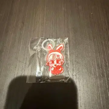 타치바나 코토미 메지루시 아크릴 마커 캰츄