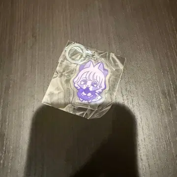 미야노 시즈카 메지루시 아크릴 마커 캰츄