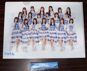 [ 2종 세트 ] 집합 클리어 파일 로고 히나타자카46 로손 제일복권