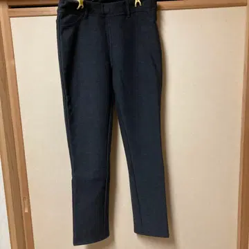 GUNZE Tuche 스트레이트 팬츠 안감 벨로아