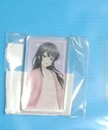 청춘 돼지 복권 콜렉션 사쿠라지마 마이 아크릴 블록