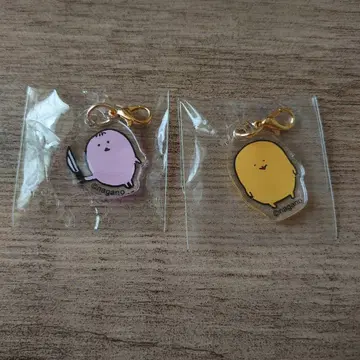 두더지 콜로케 가득 아크릴 참 두더지 민치 기요니소 나가노 캐릭터