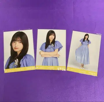 이오키 마오 교감신경 우위 브로마이드 컴프