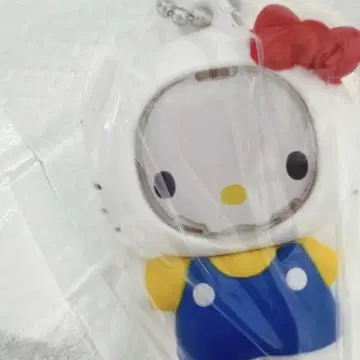 사진 프레임 마스코트 산리오 캐릭터즈 키티