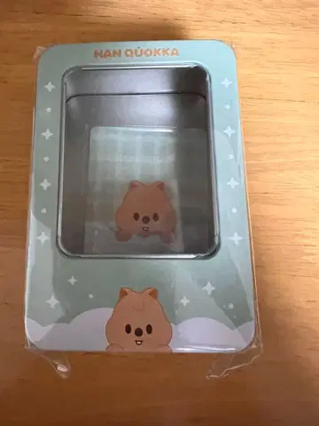 StrayKids 틴케이스