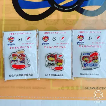 베가타와 루타나의 핀 배지 3개 세트