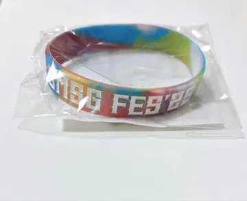 BMSGFES'25 실리콘 밴드