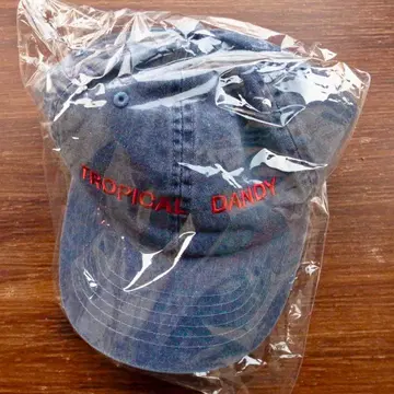 호소노 하루오미 TROPICAL DANDY CAP 트로피컬 던디 캡