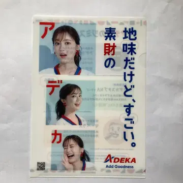 이쿠타 에리카 씨 클리어 파일 ADEKA
