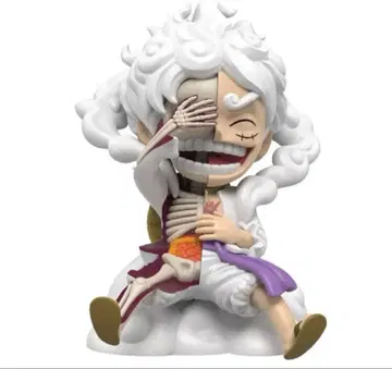 XXRAY One Piece Wanted Series - 1