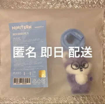 SEVENTEEN 세부치 원우 데코밴드 미니틴 DECOBAND