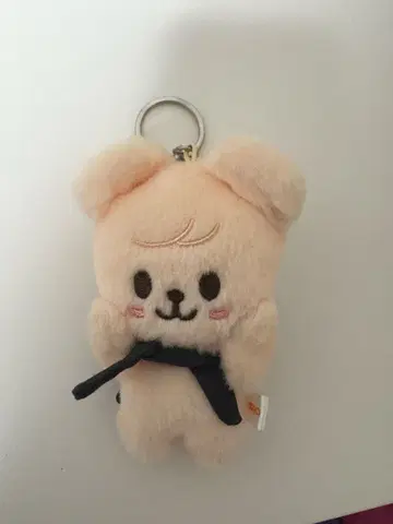 skzoo 승민 퍼핌 10cm  마그넷 키링