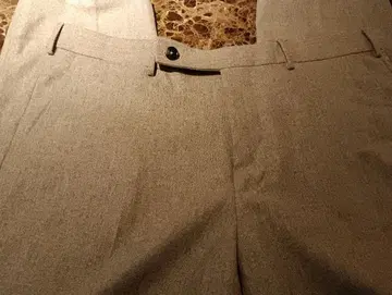 Ermenegildo Zegna / 그레이 팬츠