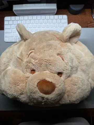 디즈니 푸우 팬캡 모자