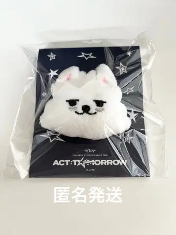 TXT ACT TOMORROW 뿔바투 마스코트링 연준 수빈