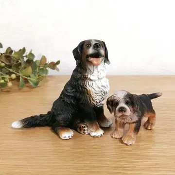 [ 레어 ] 슐라이히 버니즈 마운틴 도그 부자 단종