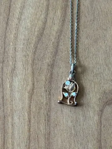 Disney 미녀와 야수 목걸이 Sainte Pure 박스 포함