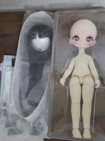 타이니 폭스 아라크네