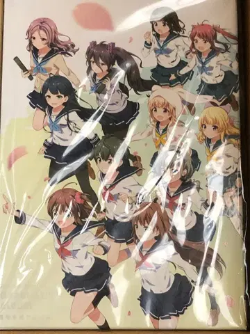 배틀걸 하이스쿨 별지기 졸업 앨범 미개봉 새상품 콜로플라