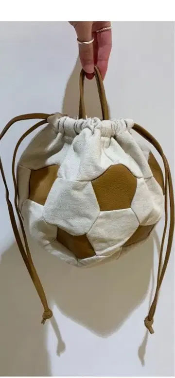 ear PAPILLONNER 축구공 쉽스 저널 스탠다드