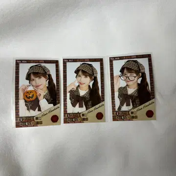 타카네노 나데시코 할로윈 미니 포토 카드 히나타 하타 히나