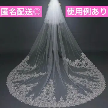 웨딩 베일 롱 롱 베일 결혼식 웨딩 사진