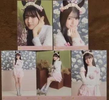 노기자카46 세토구치 신게츠 [ 할로윈 ] 브로마이드 5종