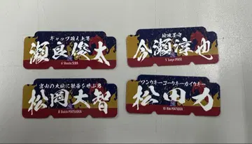 카탈레 토야마 캐치 카피 스티커 summer 4장 세트