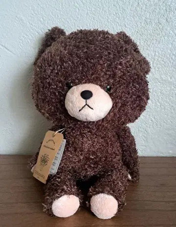 [택 포함 새상품] 곰돌이 학교 모코모코 재키 봉제 인형 복슬복슬