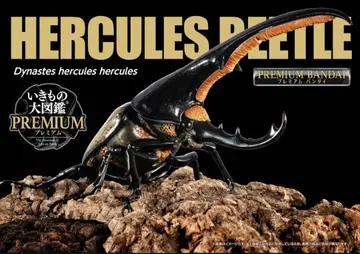 생물대도감 프리미엄 헤라클레스 장수풍뎅이와 라파 넓적사슴벌레