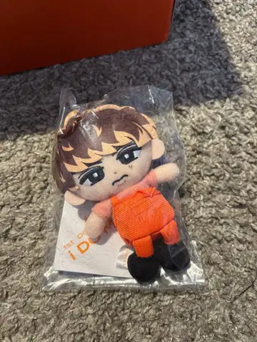 스노우 칠 무카이 코지